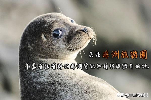 非洲人都喜欢什么样的中国货？