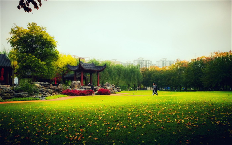 河南民办高校（本科）大起底：野花儿香，能采不？