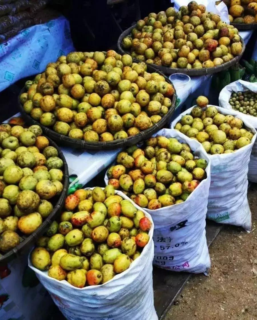 西双版纳这些奇特的水果，作为吃货的你都吃过哪些