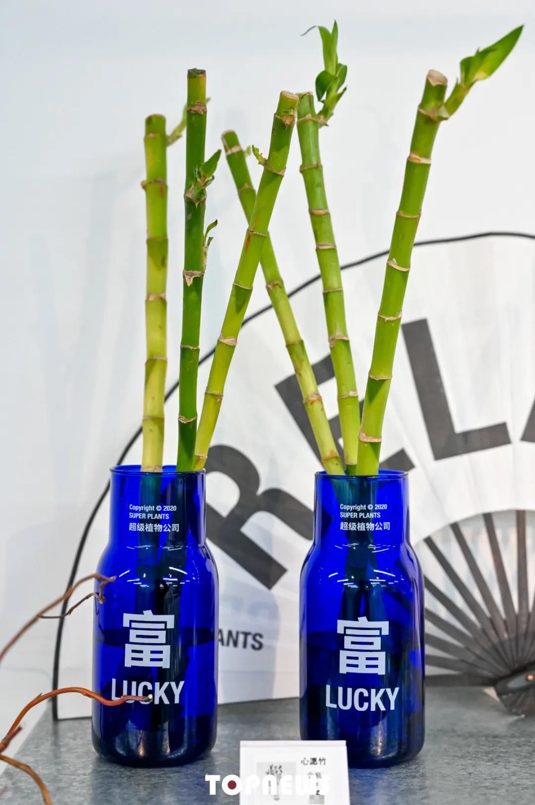 瞒不住了！魔都新晋小众创意园，随手一拍就是时尚大片