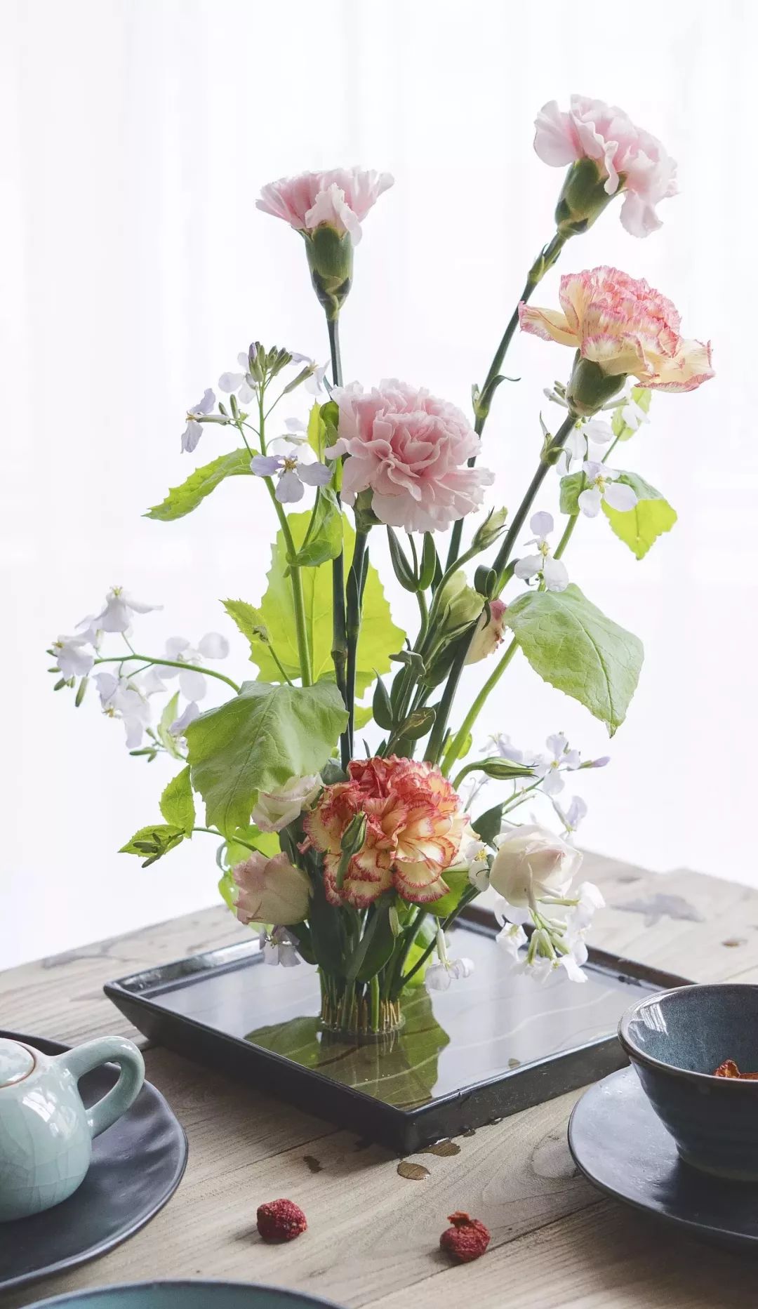 50种鲜切花花语,每个花艺师都要知道