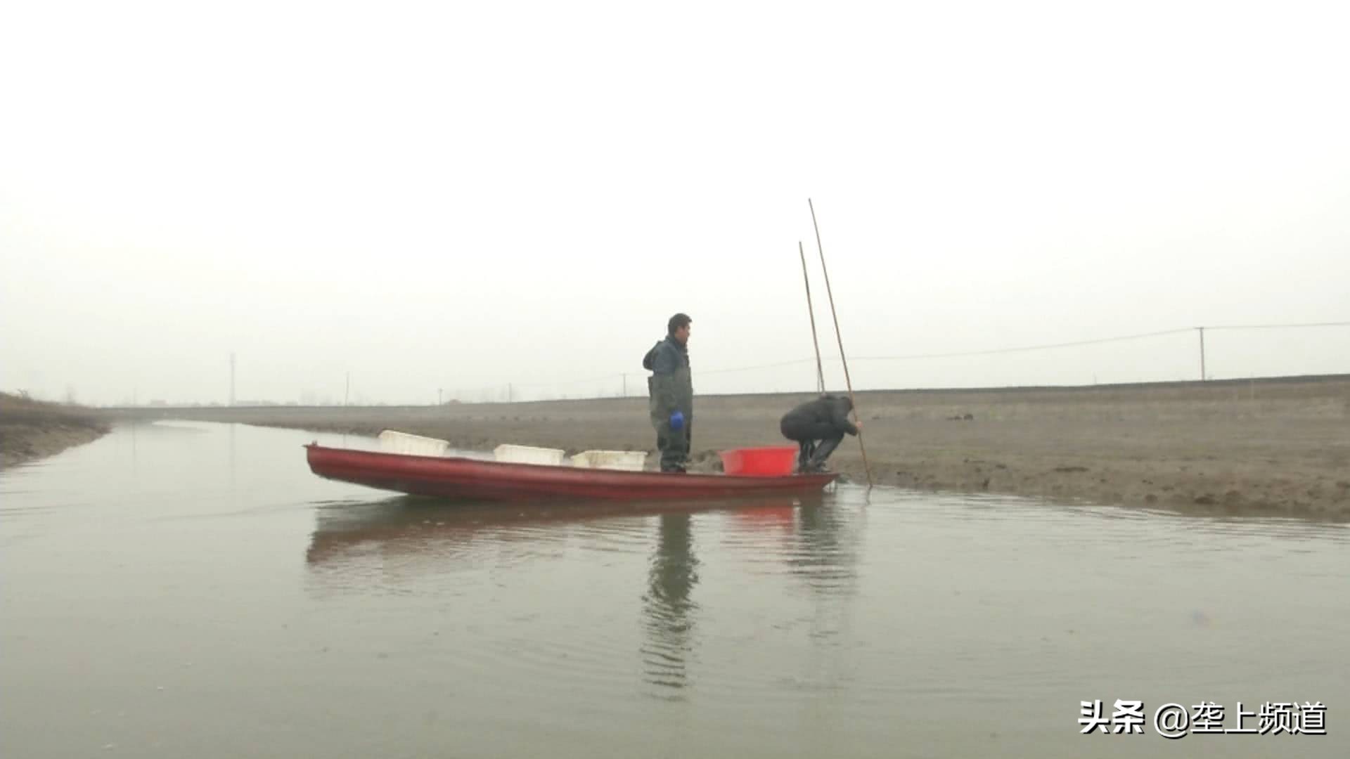 小龙虾如何暂养死亡率低,小龙虾不打洞能养殖