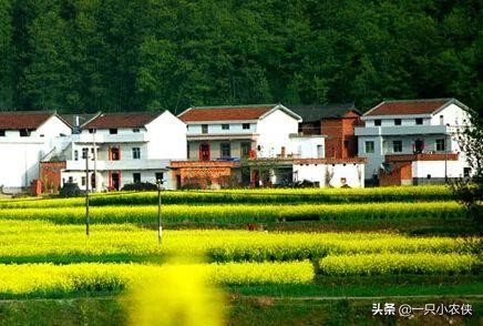 户口迁出农村老房还能原拆原建吗,户口迁出后有房子拆迁怎么办