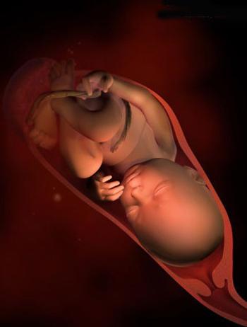 孕妇34周到40周的状况,孕39周到孕40周胎儿指标