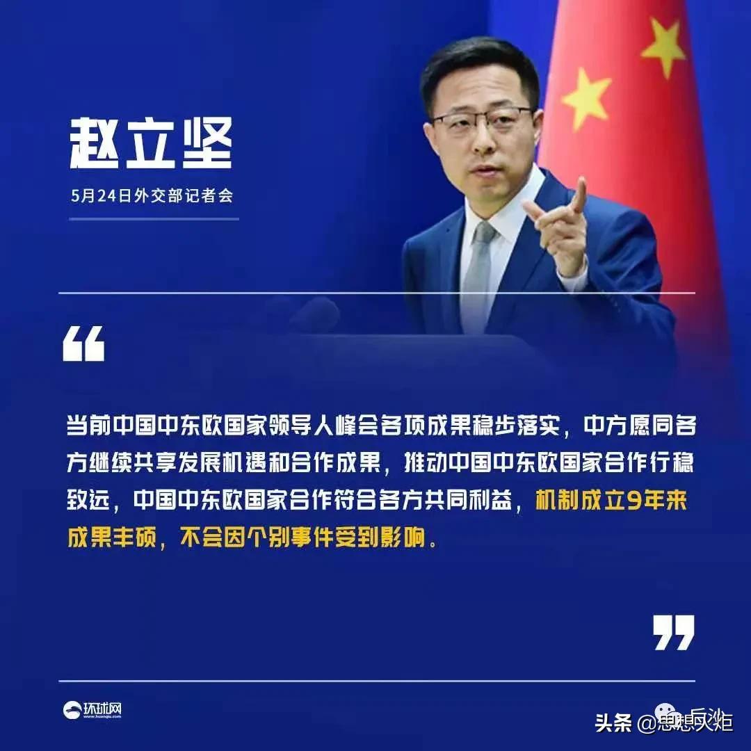 后沙：立陶宛跳出来破坏17+1，它在向谁摇尾巴？