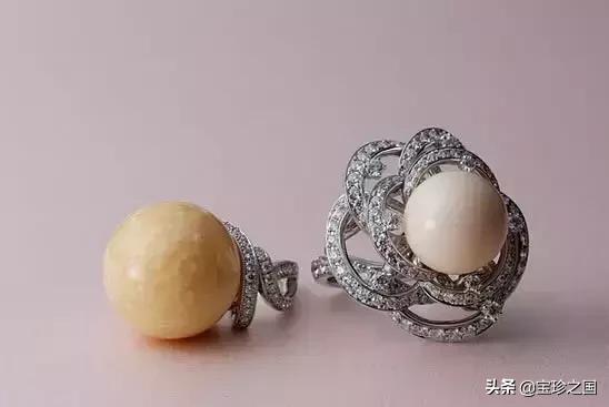 智识珍珠08|海螺珠：诞生于深海的火焰