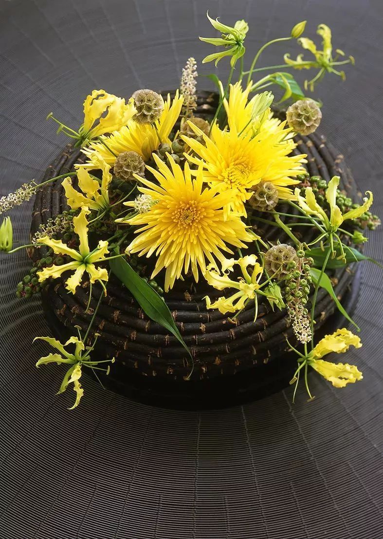 好看的切花菊推荐,好看好养的切花菊