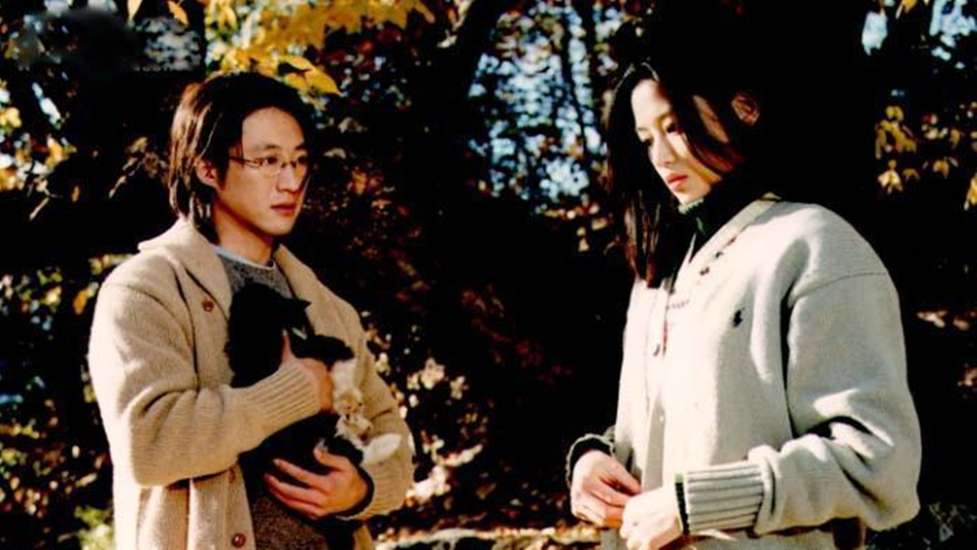 全智贤最好看的几部电视剧,全智贤初恋清纯气质美颜混剪合集