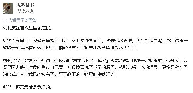 拉屎这么臭，姿势还这么骚，这些猫还真是猫界艾丽