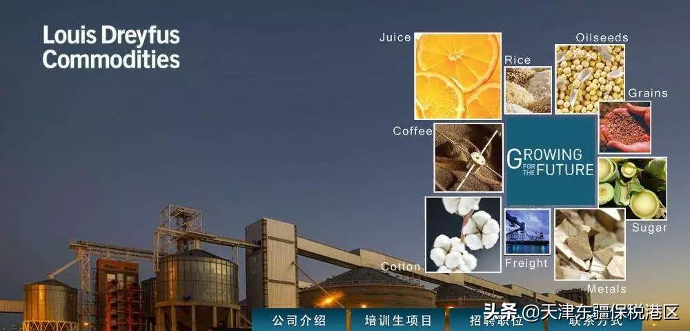 进博会逛展食品,进博会四叶草高清图