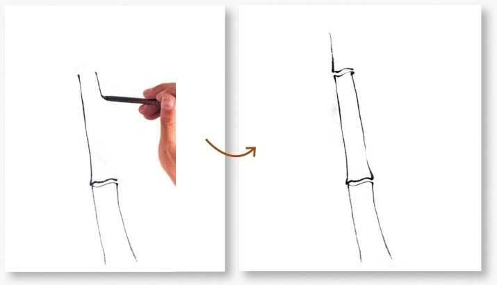 国画基础教程竹子的画法,竹子国画画法教程