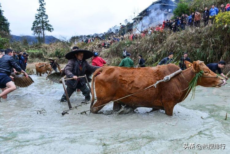 剑河巫门芦笙节,贵州剑河县春节民俗活动