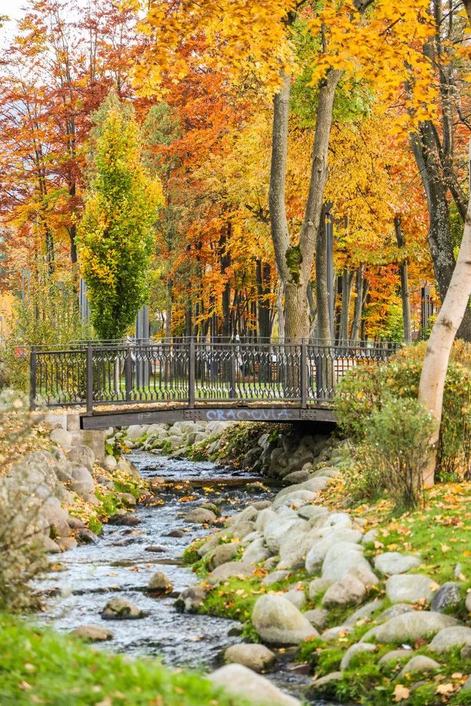 波兰记游记,游记波兰