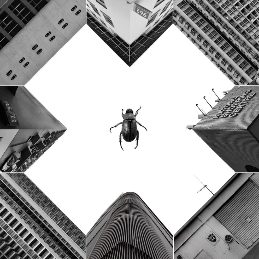 九宫格怎么晒图片,晒一晒九宫格图片