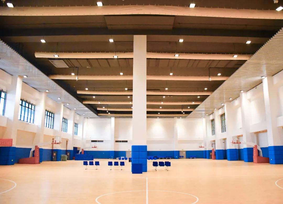 体育场和足球场的区别,体育场和体育馆对比图