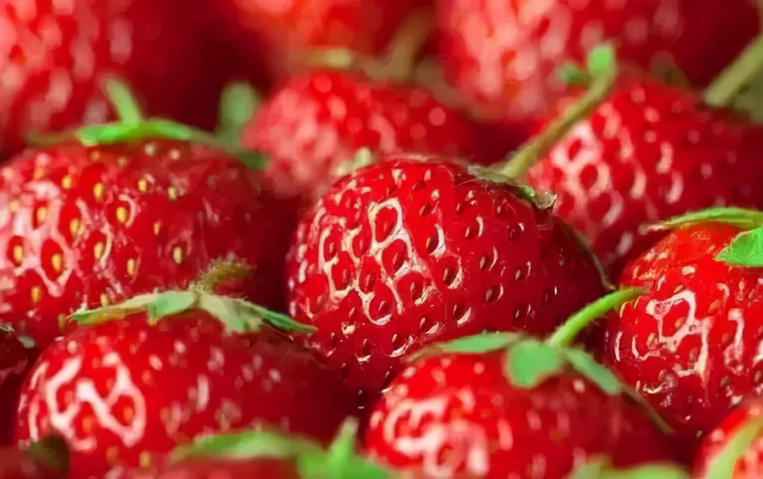 日本特产有哪些值得带回,日本特产都有哪些值得带的