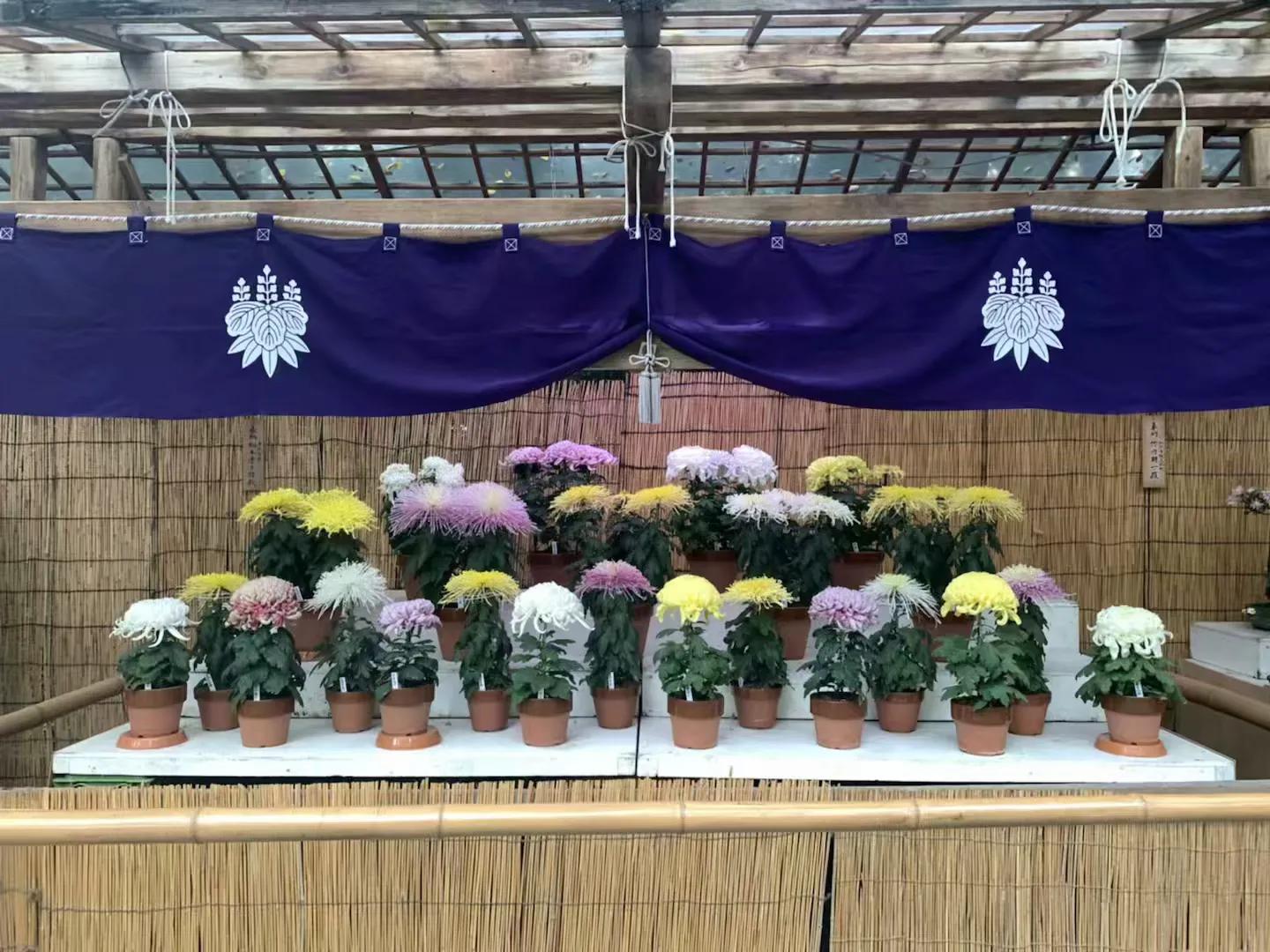 日本名古屋旅游必需品,日本名古屋一日游攻略住宿