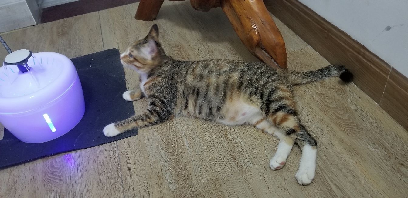 omg怀胎,omg生孩子了吗