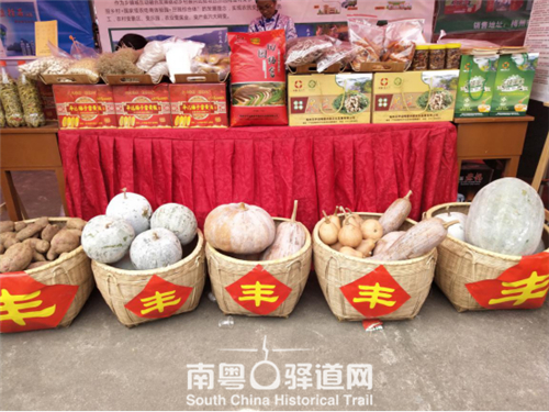 南粤古驿道定向大赛封开,南粤古驿道平远八尺站