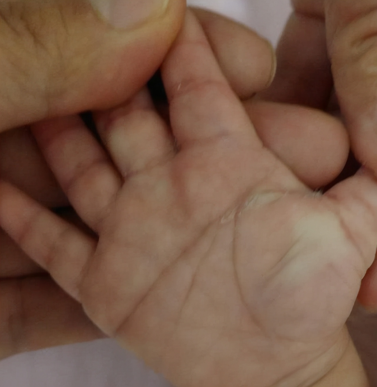 掌纹真的掌握人的命运吗,掌纹真的能代表一个人的命运吗