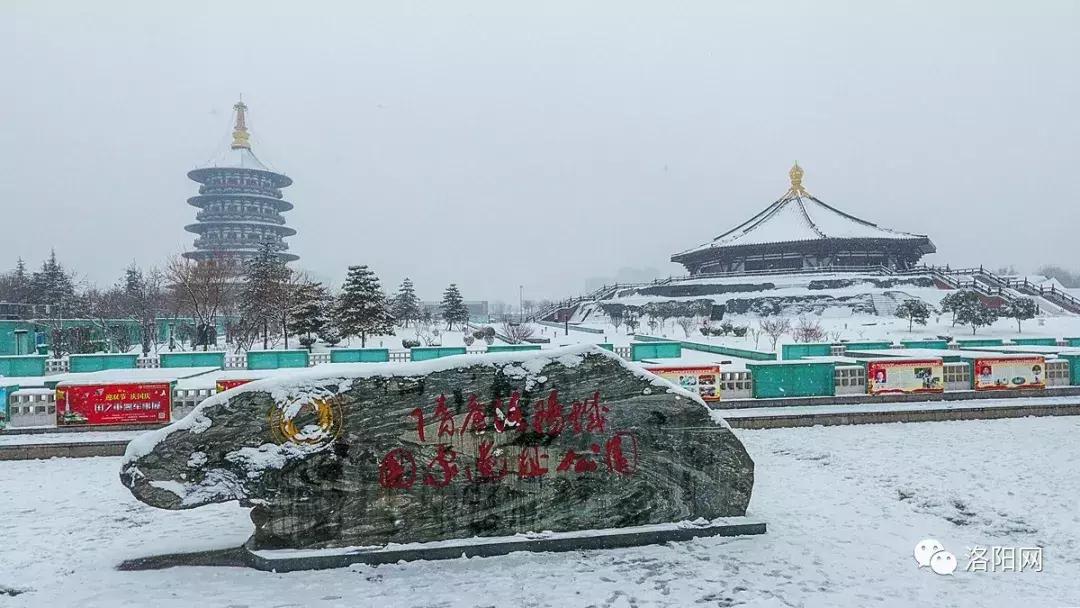 洛阳牡丹花会邀请,洛阳邀请全世界人民看牡丹