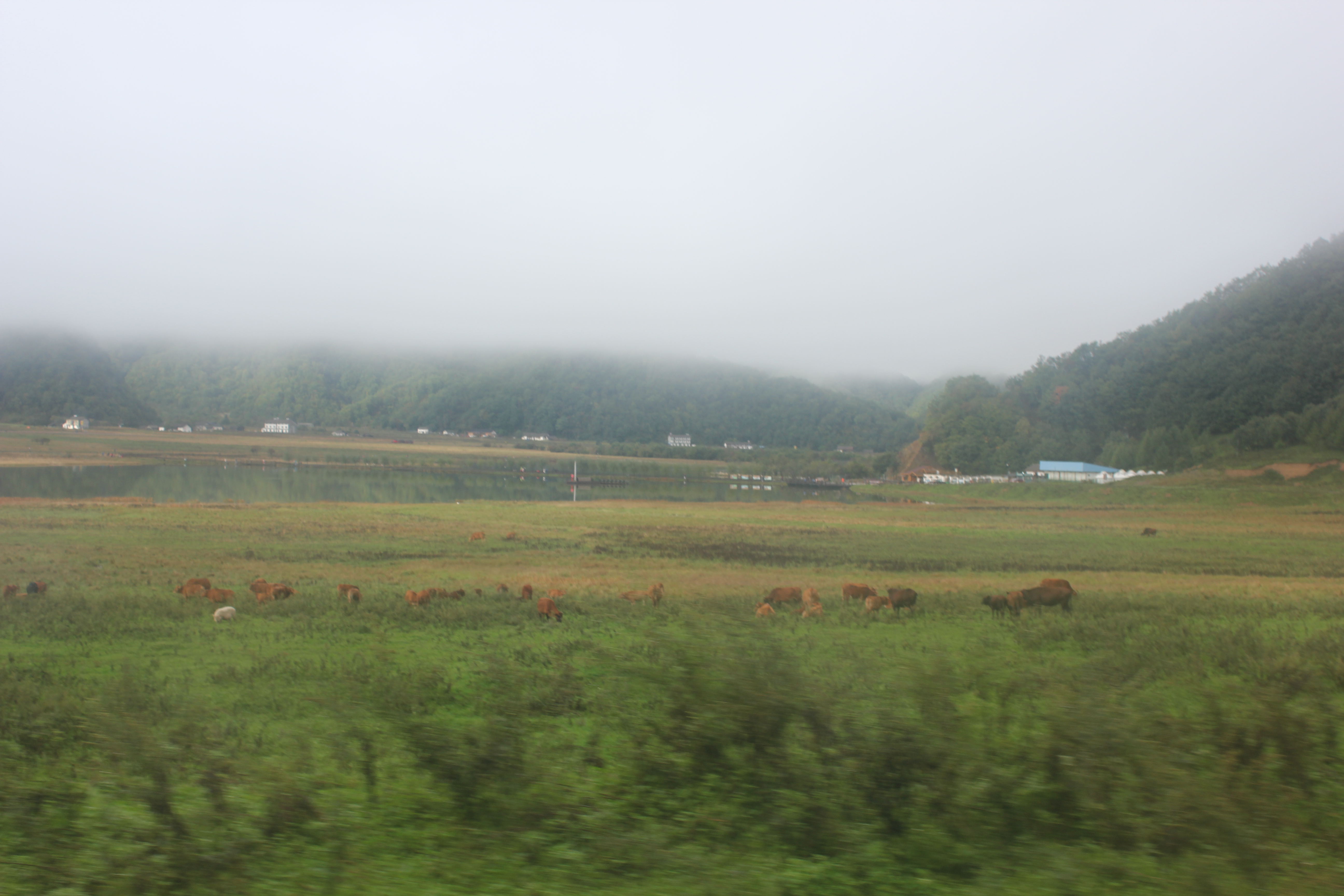 雨中神农架探秘之旅｜国庆节武汉至神农架自驾游攻略分享