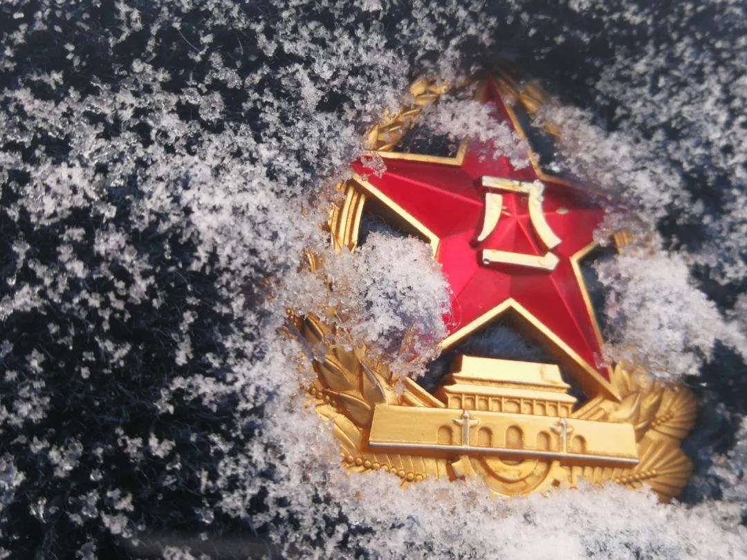 士官的前景,士官前景