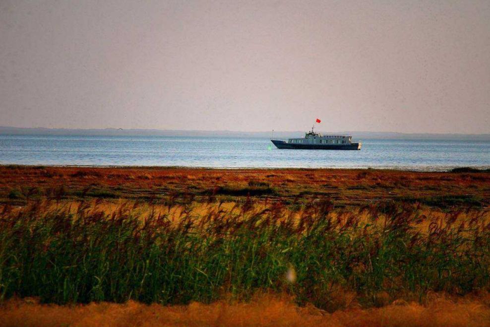 达里诺尔湖,达里诺尔湖原唱视频