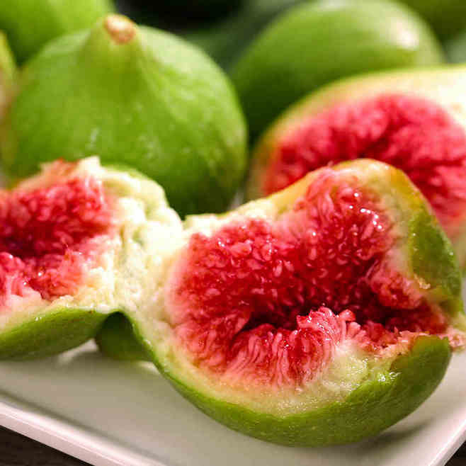 无花果被称为生命之果,生命之树盆栽