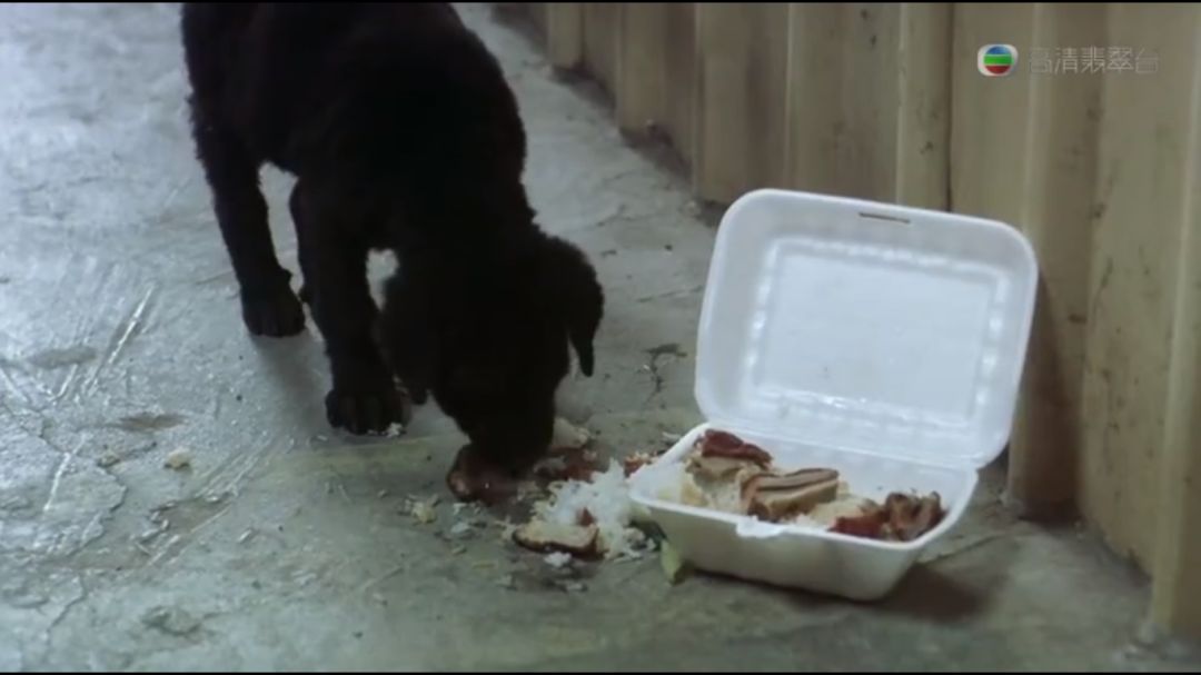 《喜剧之王》八要素,喜剧之王开拍时间