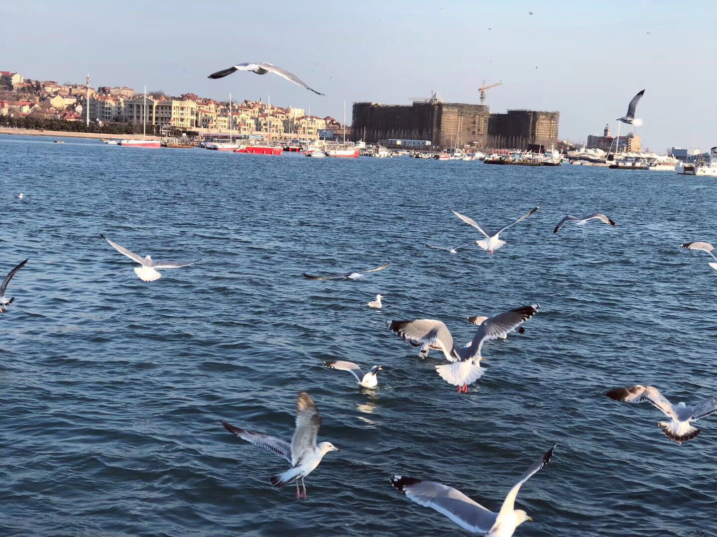 小额贷利息高合法吗,小额贷是什么