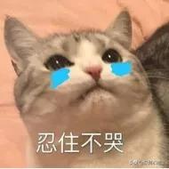 微信支付宝的钱没了能找回吗,微信支付宝的零钱不见了