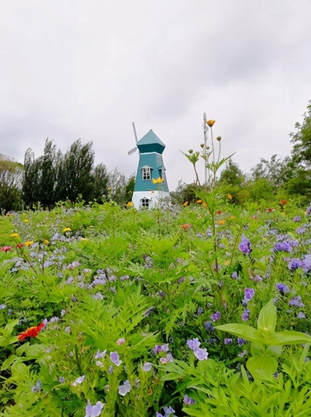 辽宁省盘锦市所辖区有哪些,辽宁省盘锦市有哪几个区