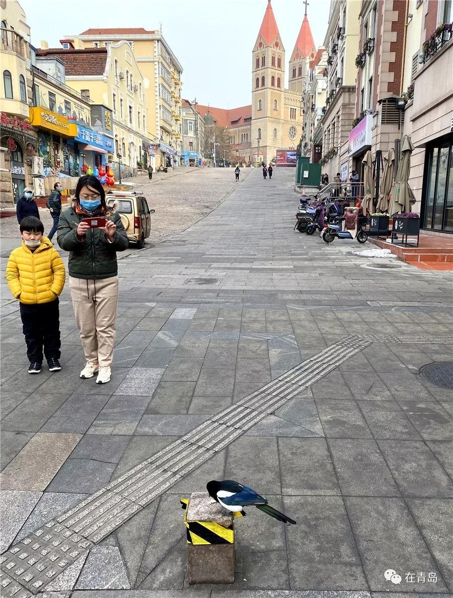 中山路步行街青岛改造完成,栈桥中山路视频