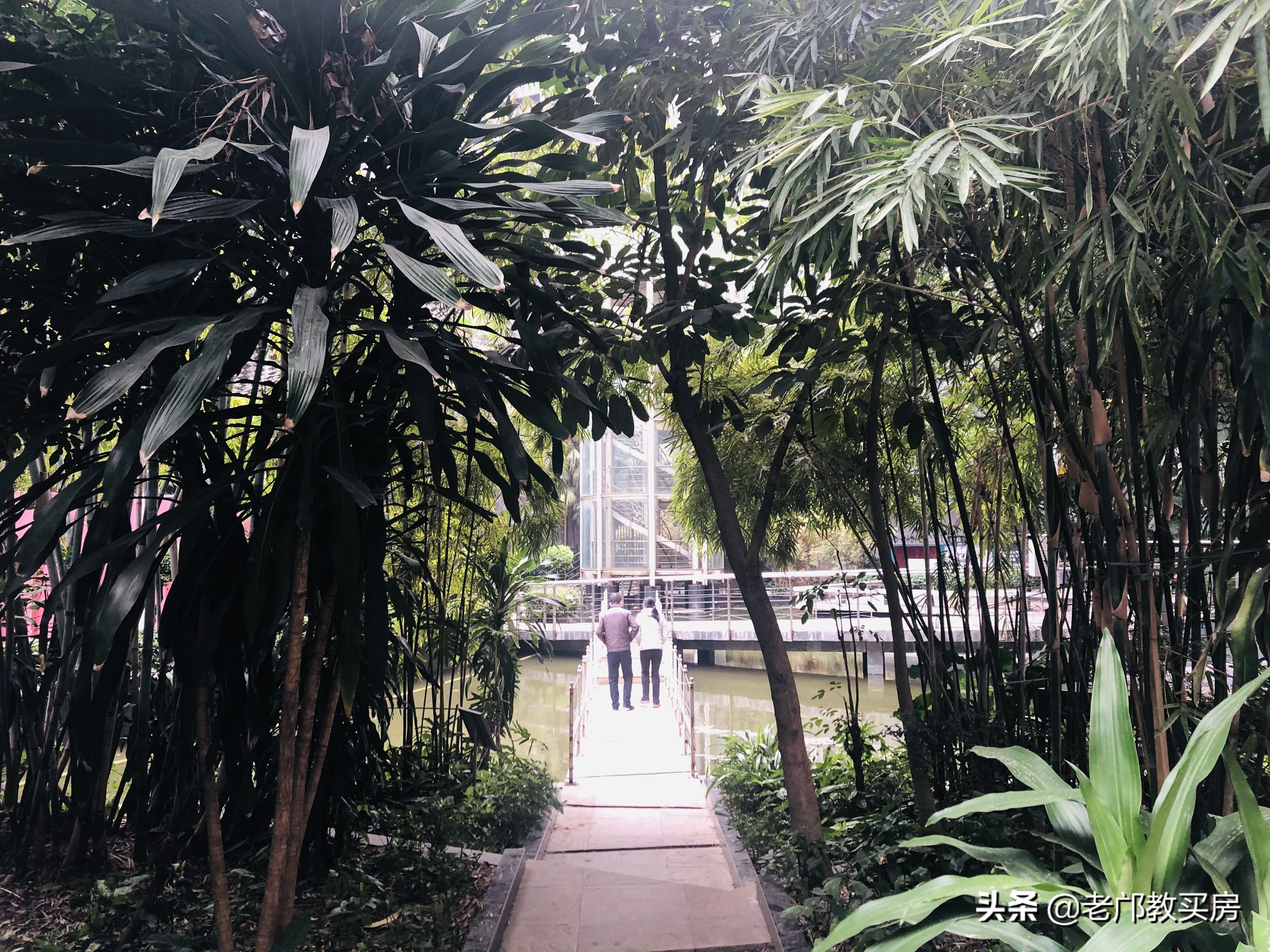 天河取消直升还买吗？龙口西学位房吐血整理（上）