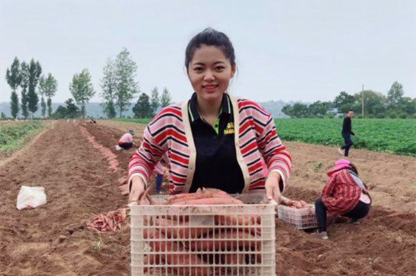 马云谈农村未来有什么发展前景,马云说未来发展在农村