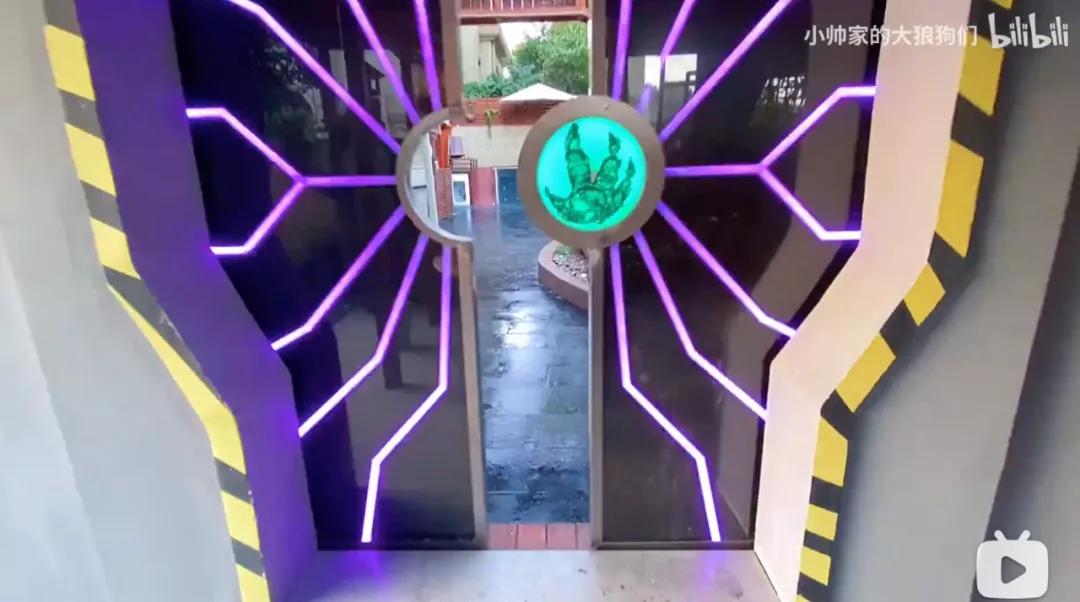 花三年建宠物乐园,花20万给狗打造乐园