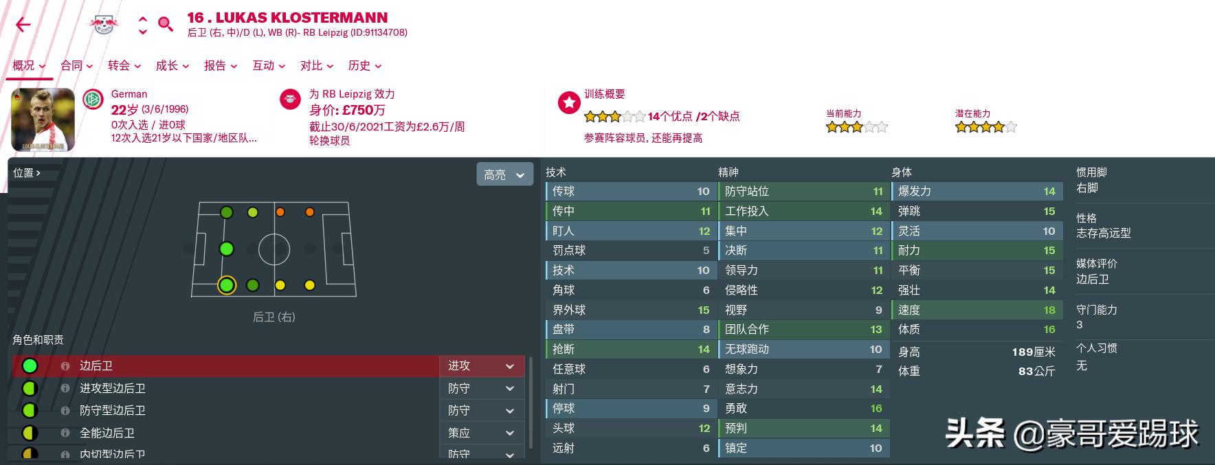 fm2019足球经理苹果手机版,fm足球经理球员数据解读