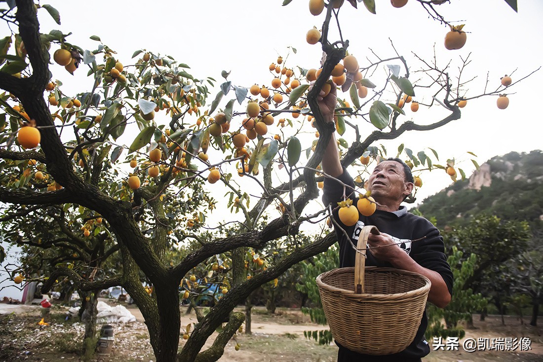 青岛的鹤山风景区好玩吗,青岛鹤山旅游景点大全