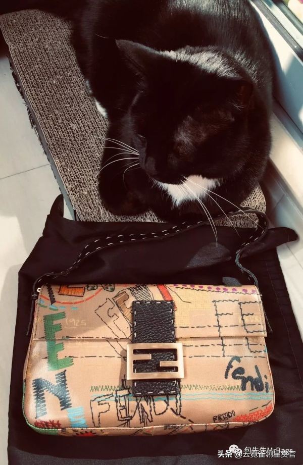 超好看的宠物包,好看又大的宠物包