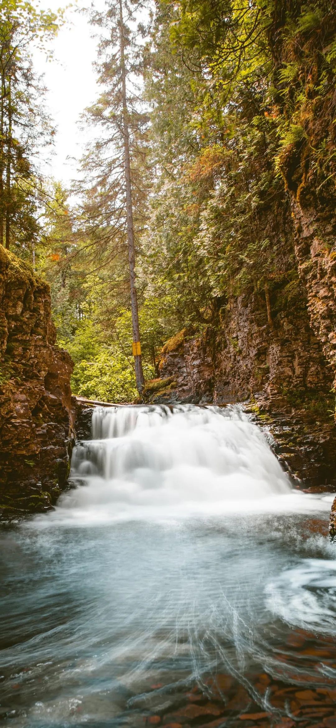 壁纸超清4k手机壁纸iphone6,iphone壁纸第五人格