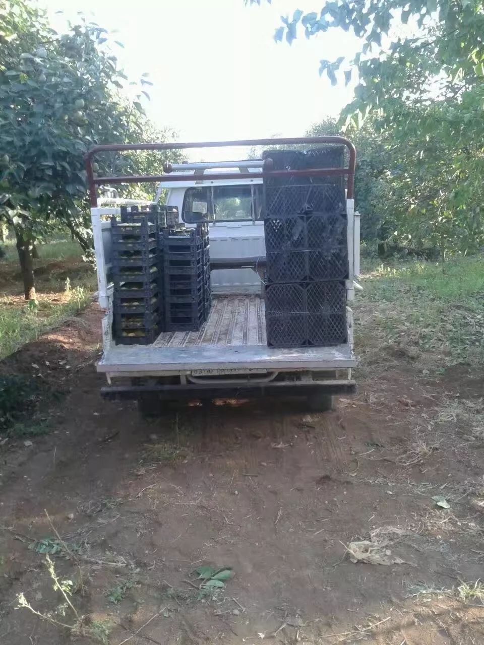 靠一块香皂养活厂里20多人，叙利亚商人逃离战火扎根上海