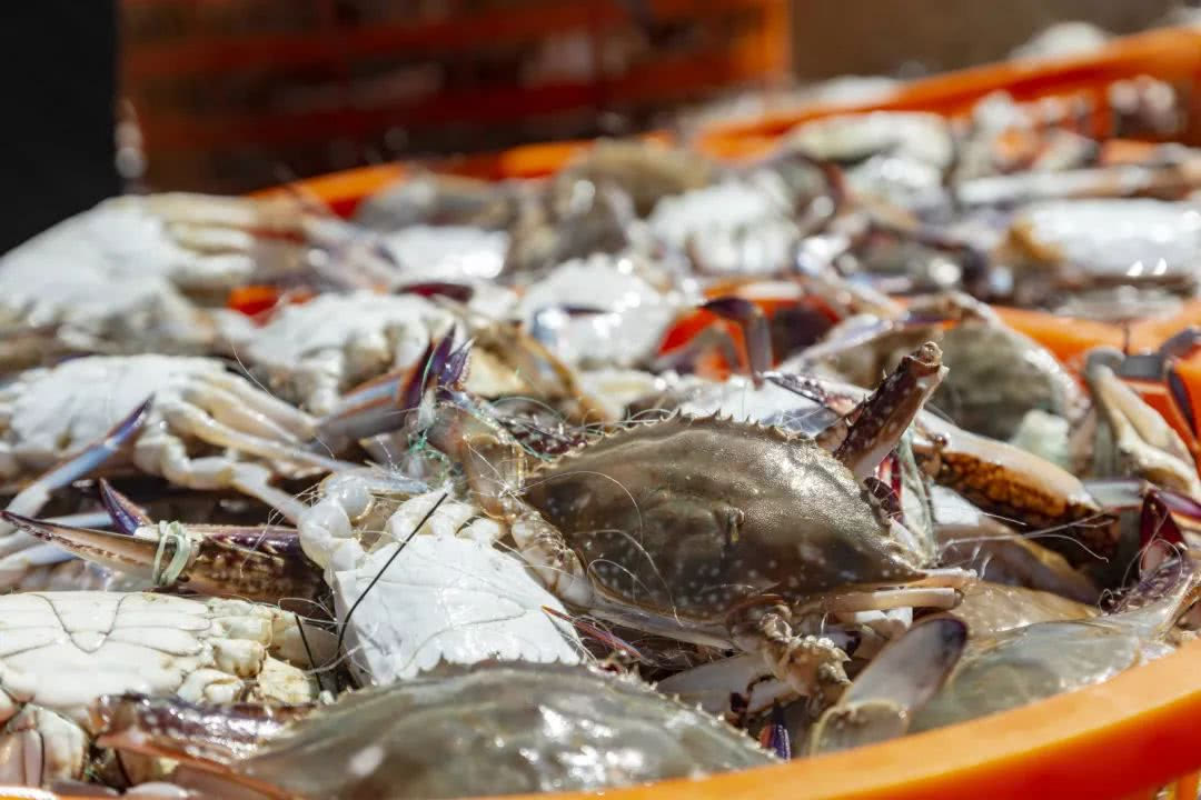 朱家尖导游免票不,朱家尖到东极岛导游