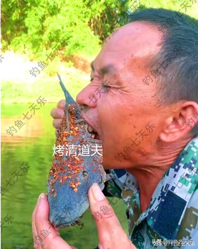 九龙水库钓鱼事件死亡,清道夫鱼在两广泛滥成灾