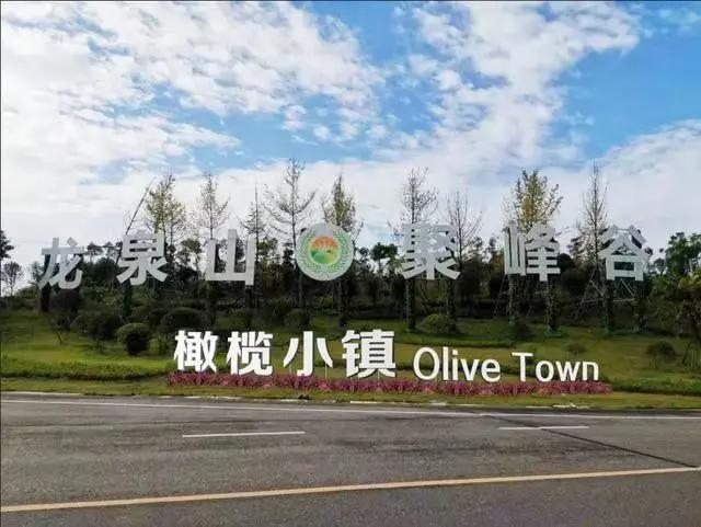 成都金堂橄榄小镇最新规划,金堂橄榄小镇在哪里