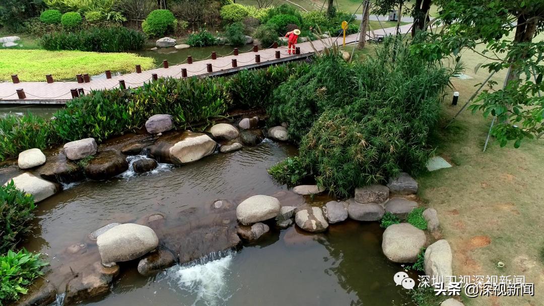 胡嘉东深圳任免公示,深圳市水务局胡嘉东局长