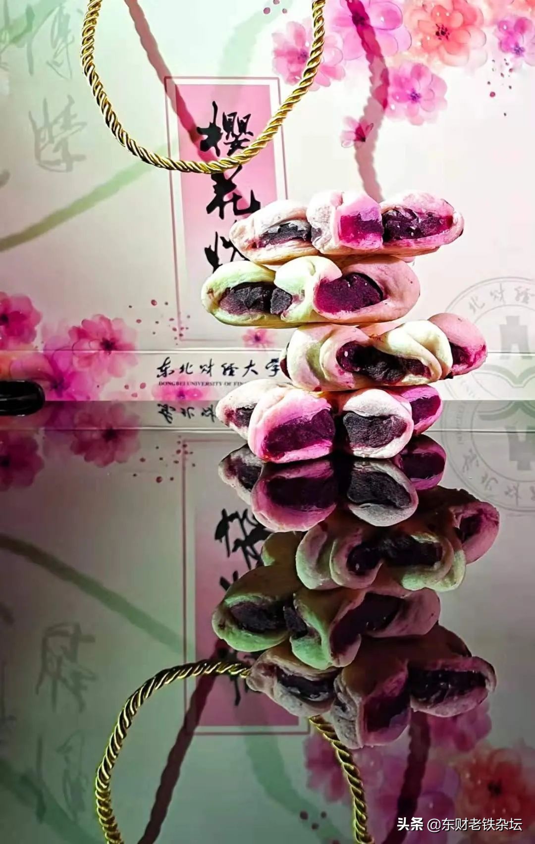 网红美景,网红一棵树樱花园