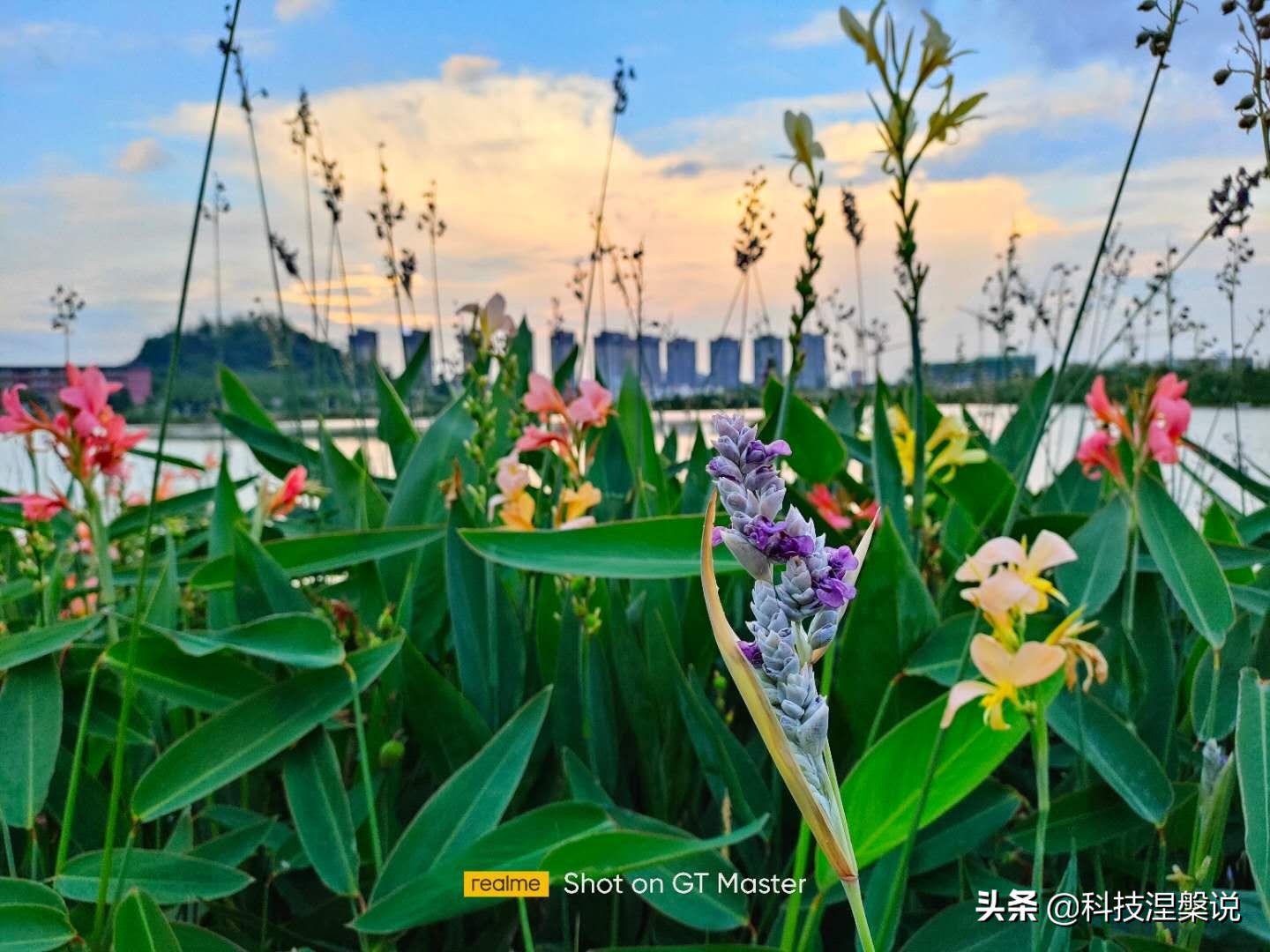 realme真我q3pro上手评测千元机皇,真我realme哪个手机值得入手