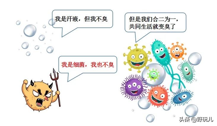 应该买什么材质的袜子,户外袜子选择什么材质