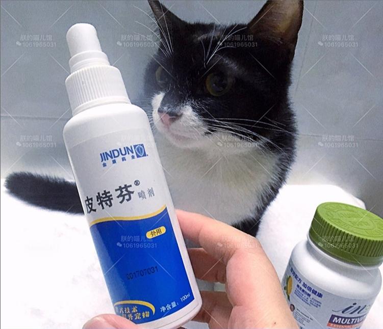 教你如何治猫癣,治疗猫癣的最有效办法